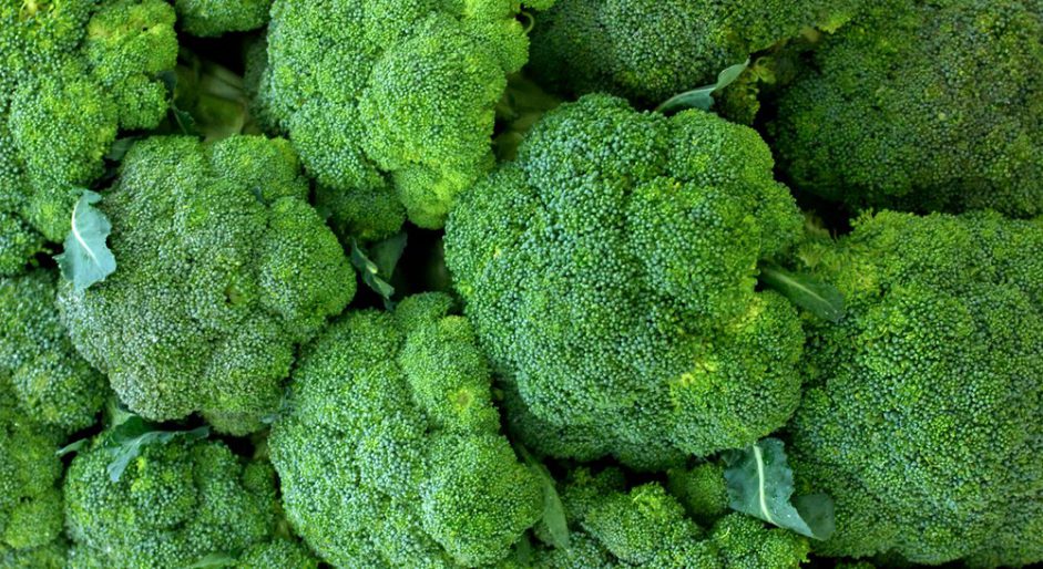 Brokoli Nasıl Yetiştirilir